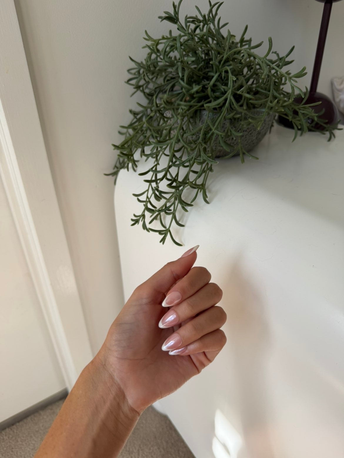 Signature French Glazed